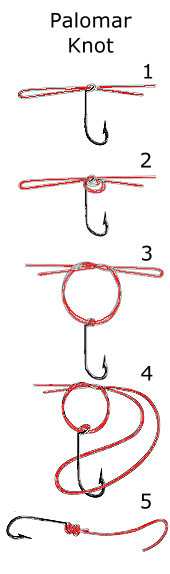 palomar knot